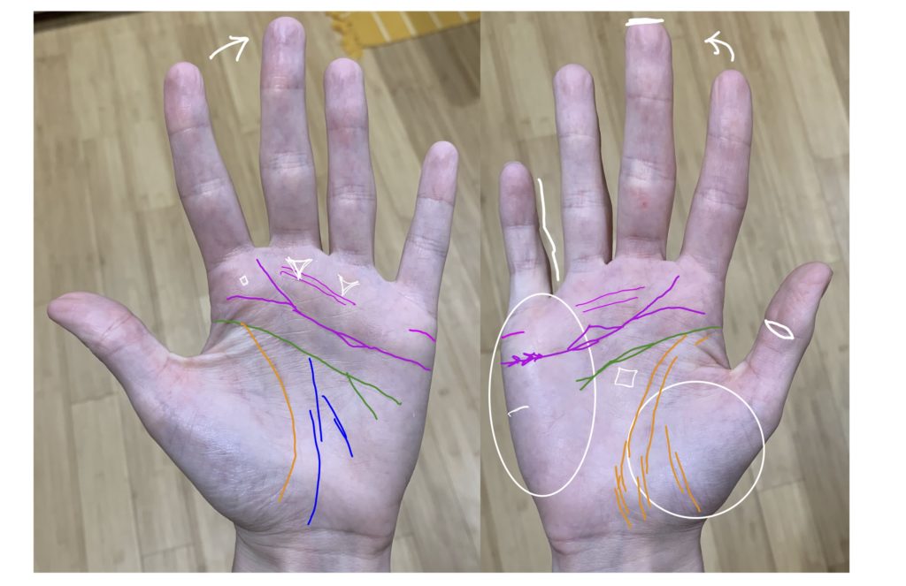 palm reading review